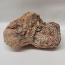 Versteinertes Holz Madagaskar